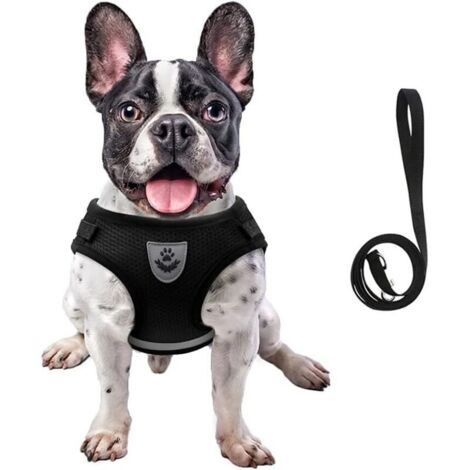 Corde de traction réglable pour harnais pour chien (noir XS)
