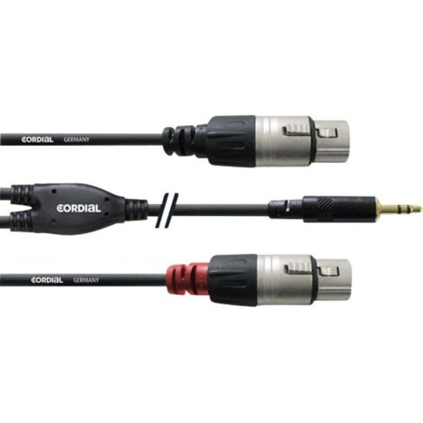Cordial Audio Cavo adattatore [1x Spina jack da 3.5 mm - 2x Presa XLR] 3.00 m Nero