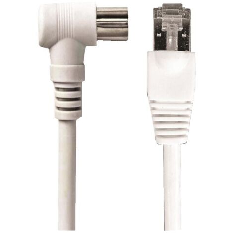Cordon Balun IEC-RJ longueur 2 m - EVICOM