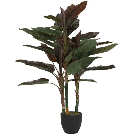 Cordyline en pot 80 x 80 x 110 cm