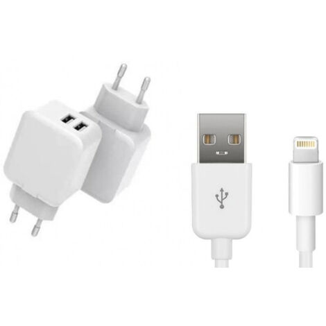 CoreParts Chargeur USB pour iPhone et iPad (MBXUSB-AC0007)