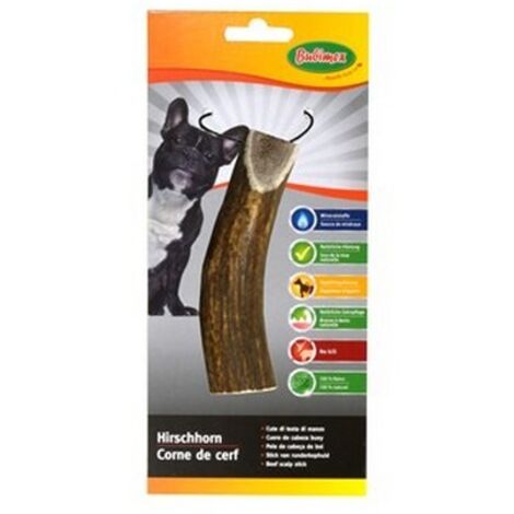 Corne de cerf - friandise pour chien Désignation : Corne de cerf - Medium - 80/120 g BUBIMEX 896000