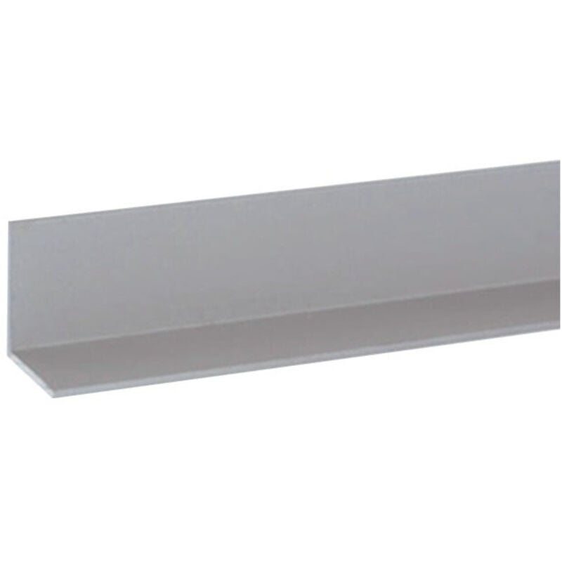 Cornière 25x25x1,5mm longueur 3m alu anodisé argenté Duval 41-0102-5043