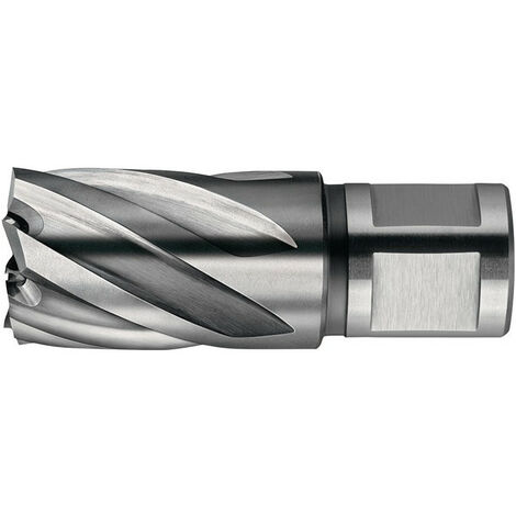 Corona de extracción NOVA 50 D. nominal 12 mm Weldon FEIN