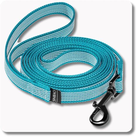 Correa antideslizante TURQUESA - 5m, 76MM - perro 10-25kg