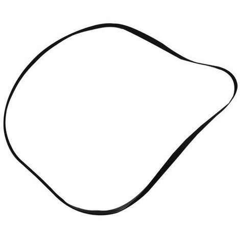 Correa Audio Plana 176x0,60x5mm