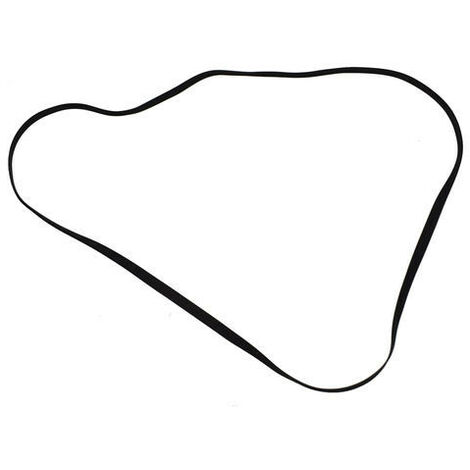 Correa Audio Plana 205x0,50x0,50mm
