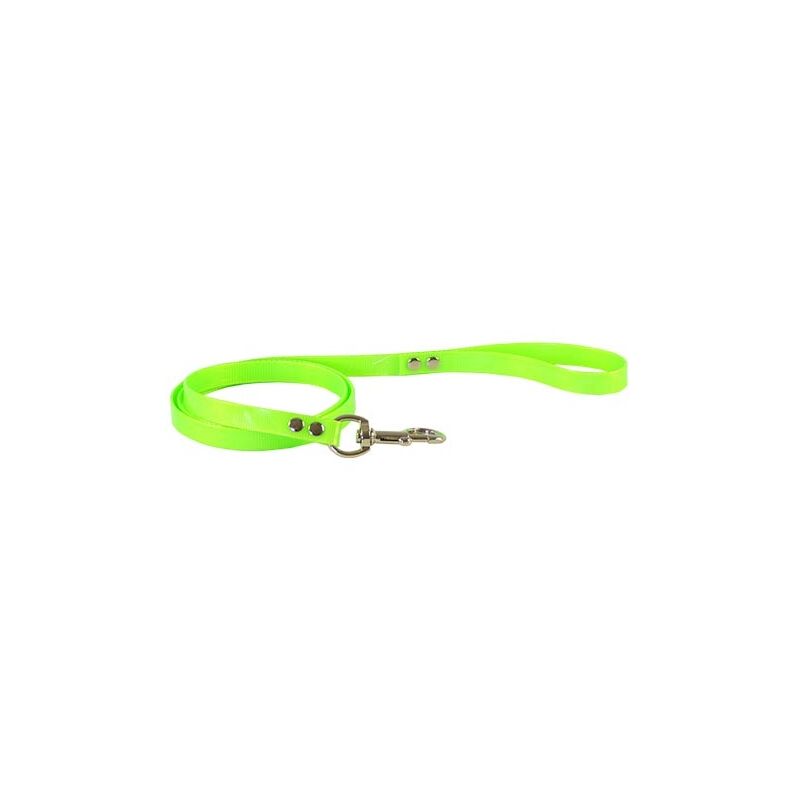 

Correa de poliuretano IBÁÑEZ CORREA POLIURETANO 1.5CM X 1.2M BLANCO
