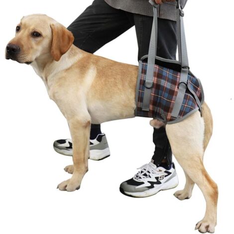 Correa de soporte para perros, patas traseras, elevación ajustable, cinturón de recuperación, rehabilitación, ayuda para pasear (M)