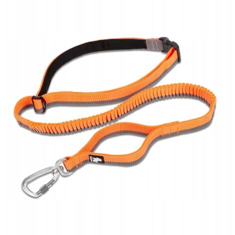 Correa FLEXIBLE para correr con perro BUNGEE FUERTE L