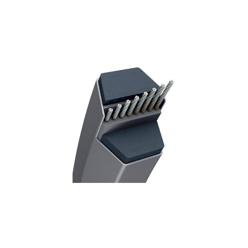 

Gea Jardin - Correa Hexag-13X10Mm -Correa 33'- Mm KOBE, MURRAY, SNAPPER