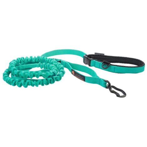 Correa JoQu® Ultra Strong Runners para perros pequeños y medianos con amortiguador, color menta