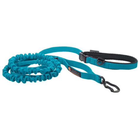 Correa JoQu® Ultra Strong Runners turquesa para perros pequeños y medianos con amortiguador