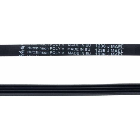 Correa Lavadora 1236 J MAEL