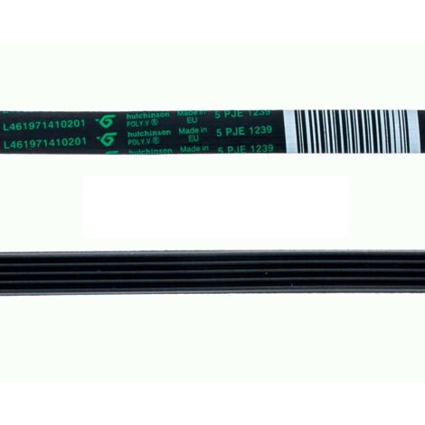 Correa Lavadora 5PJE 1239 (L461971410201)