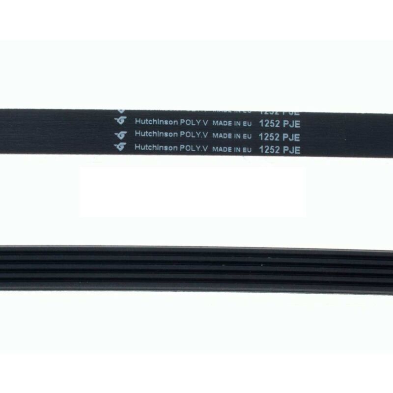 Correa Lavadora 5PJE 1252 (Hutchinson 55500000160)