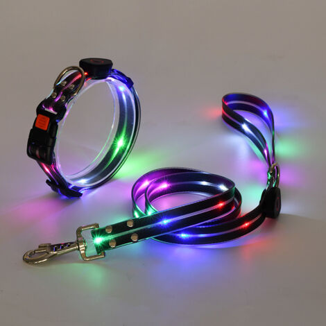 Correa luminosa para paseos nocturnos con el perro: collar y correa de alta visibilidad, ideales para paseos nocturnos, collar negro ajustable con luz para mascotas.