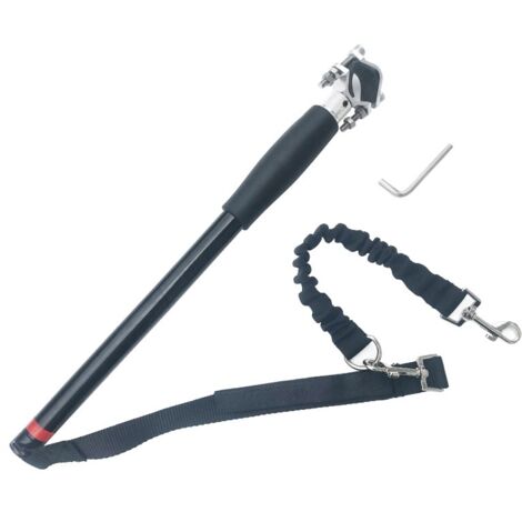 Correa manos libres para perros, ideal para pasear a tu perro en bicicleta o para montar en bici.