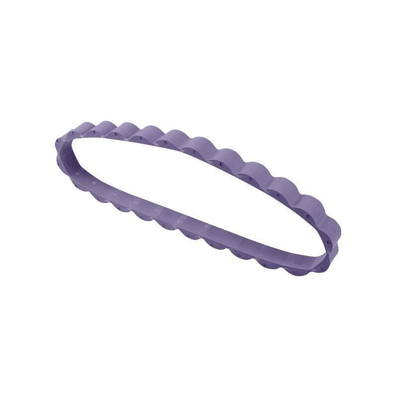 Zodiac - Correa Oruga Violeta Para Voyager 2X