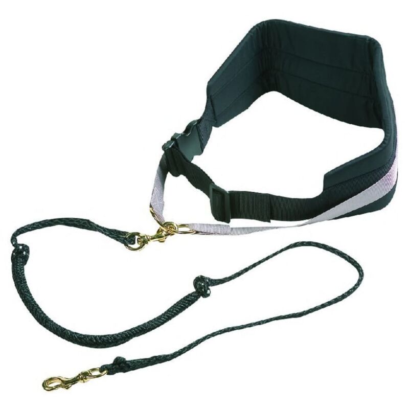 

Cinturón con correa elástica para perro Canicross negro - Negro - Flamingo