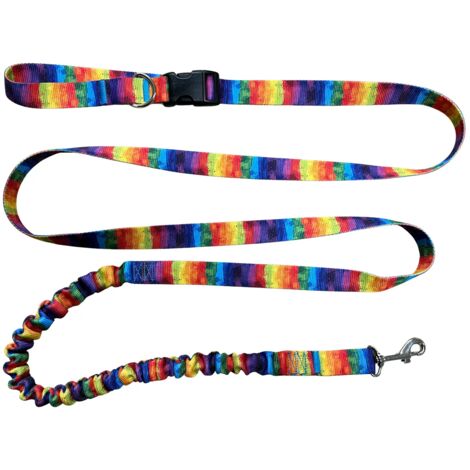 Correa para perro con amortiguador 280cm Patr贸n ARCO脥RIS Ajustable