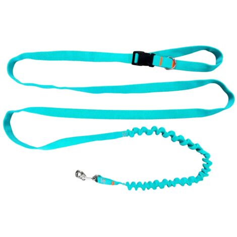 Correa para perros con amortiguador, 480 cm, color menta, ajustable, manos libres, fabricada en Polonia.
