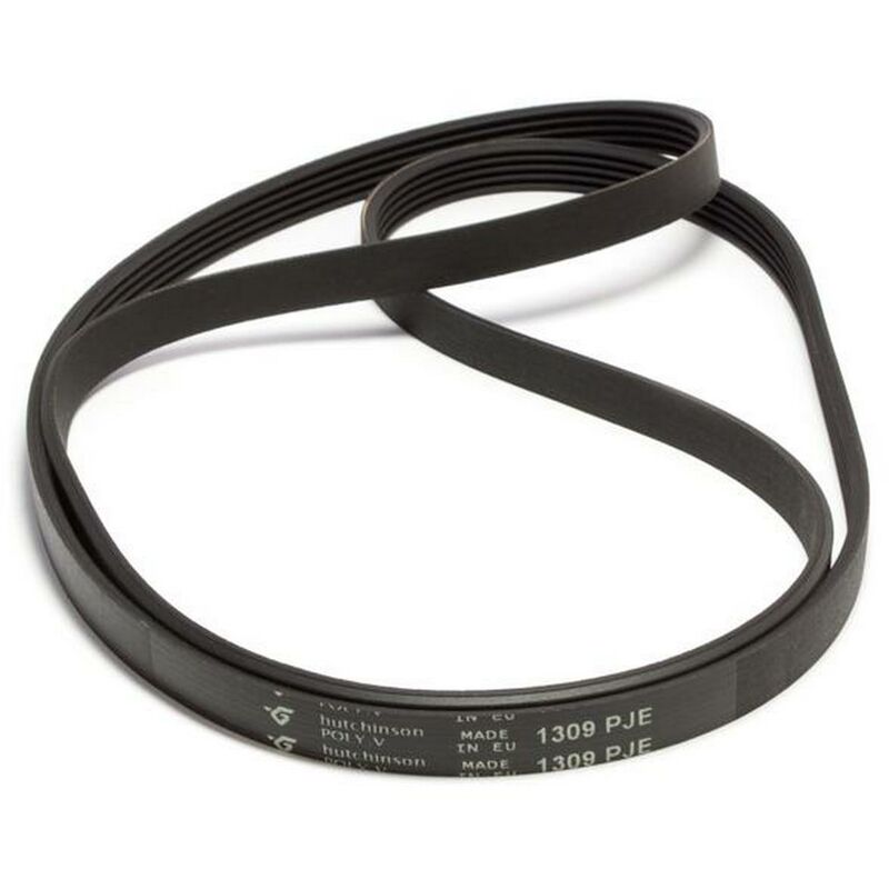 Correa Poly-v 1309J5 55X5661 BRANDT