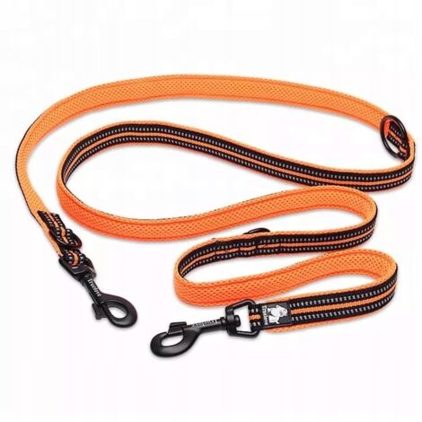 Correa reversible para perros MULTIFUNCIONAL Truelove L