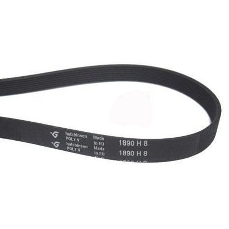 

Reporshop - Correa Secadora Ranurada Megadyne 1890 H8 multigrip Fagor Candy Otsein