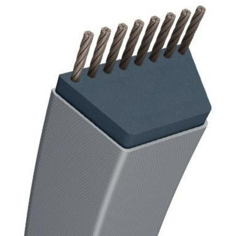 

Gea Jardin - Correa Trap Trad -Específica- 12,7X2183 7 X 2183 Mm MURRAY