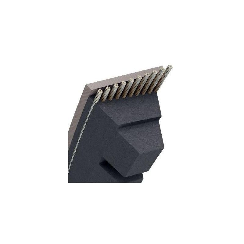 

Gea Jardin - Correa Trapez.Dentada-9,7X8Mm -Xpz 800- 9,7 X 812Mm , WOLF