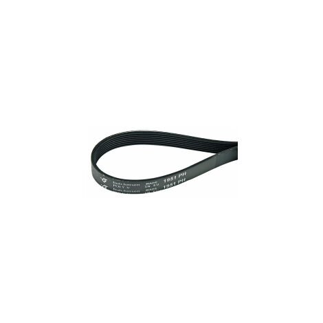 Correa trapezoidal para secadora, correa de transmisión, correa acanalada 1951PH7 1951H7 150612403