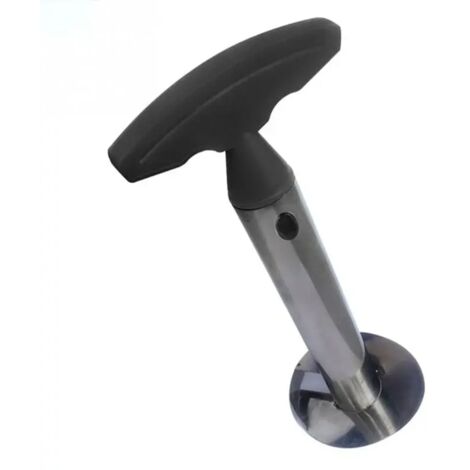 Cortador de piña de acero inoxidable, portátil para pelar y cortar fruta, 1 pieza