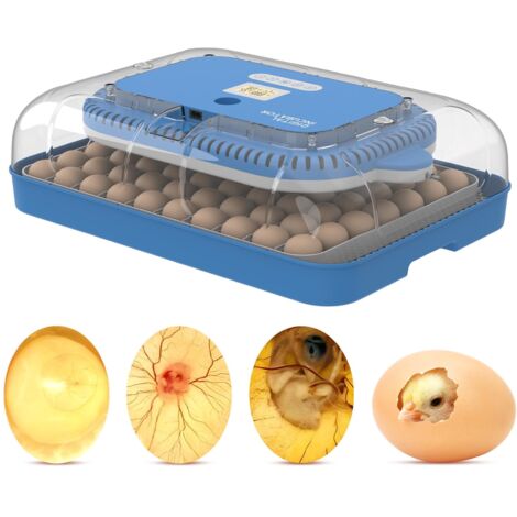 Cortadora de huevos automática con pantalla LCD, capacidad para 70 huevos, función 3 en 1: incubadora, gallinero e incubadora, control automático de temperatura y humedad, 90 W, ABS transparente.