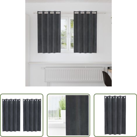 Cortinas de terciopelo -  Cortinas opacas 2 pcs Gris Claro 140 x 140 cm Terciopelo