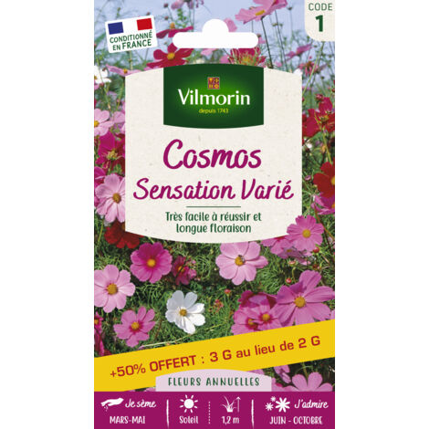 Cosmos Sensation Varié Vilmorin
