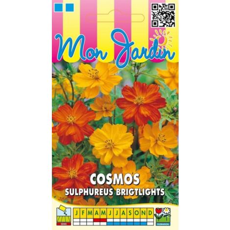Cosmos sulphureus Brightlights - 1g
