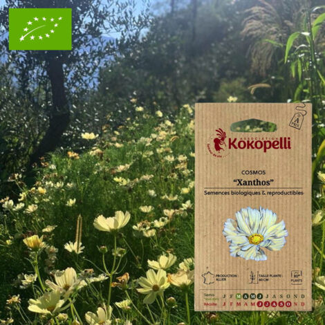 Cosmos Xanthos