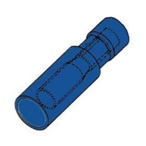 Cosse Cylindrique Femelle Bleue