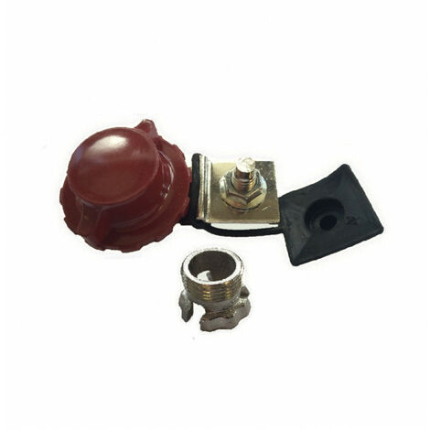 Cosse électrique plate positive pour batterie – Adaptée bornes cylindriques Renault Peugeot – Déconnexion rapide – Section 10mm² – RKG
