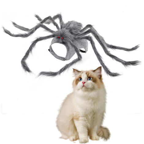 Costume d'araignée pour Chats et chiens - S