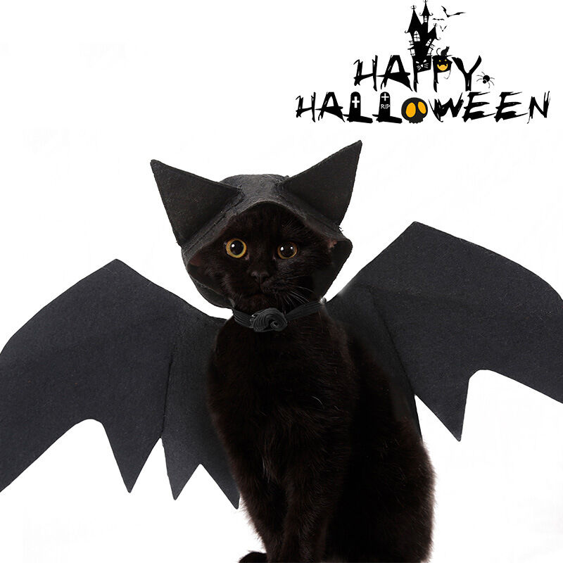 Costume de chat chauve-souris d'Halloween, Costume de déguisement de chat Costume de petite décoration de chien Costume d'Halloween pour animaux de