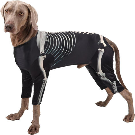 Costume de squelette pour Chiens de Taille Moyenne M