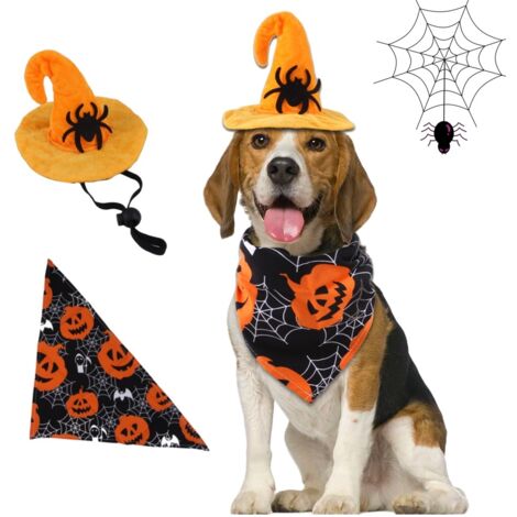 Costume d'Halloween avec chapeau de chauve pour chien Noir