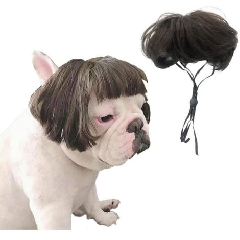 Costume pour chien - Perruque pour animaux - Marron - Taille 23x15x0.5cm