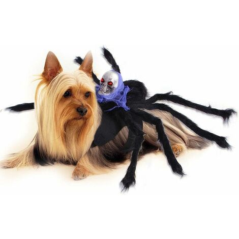 Costumes d'halloween pour Animaux De Compagnie, Costumes d'animaux De Compagnie D'AraignéE De Simulation d'halloween, CrâNes TransforméS en Costumes d'halloween