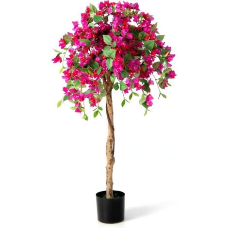 Planta azalea