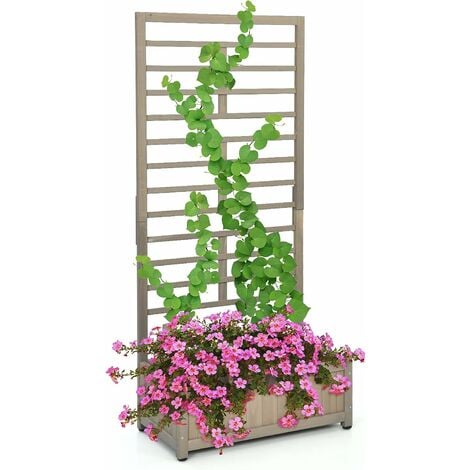 KWS Schermo da Giardino per Traliccio A Traliccio per Piante Rampicanti in  Ferro Battuto, Supporto alle Intemperie per Piante Rampicanti, (150-210)  X50cm, Adatto per Fiori E Verdure,White s : : Giardino e