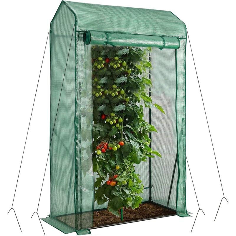 Costway Grün - Gewaechshaus, 100X50x170cm, Foliengewaechshaus Mit Pe Gitterfolie, Gartengewaechshaus Mit Aufrollbarer Reissverschlusstür, Tomatenhaus Klein & Begehbar, Stahlrahmen