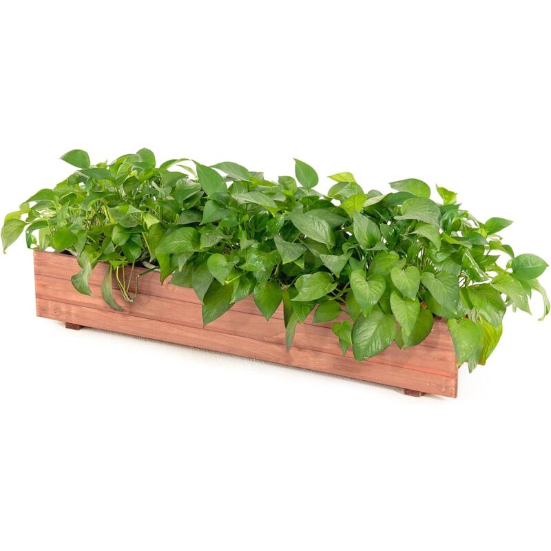 Jardinière Rectangulaire en Bois de Sapin, Lit de Jardin Surélevé Imperméable pour Culture Fruits Légumes, pour Jardin Patio Balcon, 90 x 18 x 15 cm